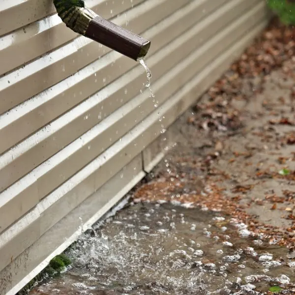 Request a Quote — Hafke Plumbing, St. Petersburg FL