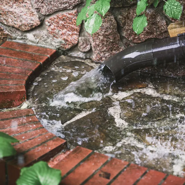 Clear Debris From Outdoor Drains — Hafke Plumbing, St. Petersburg FL