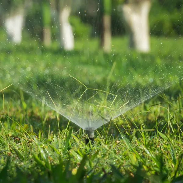 Smart Ways to Lower Your Water Bill This July — Hafke Plumbing, St. Petersburg FL