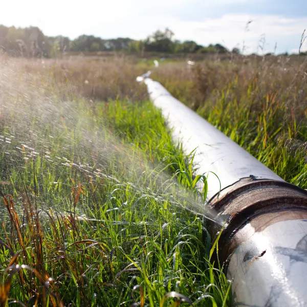 Prioritize Hidden Plumbing Leak Detection — Hafke Plumbing, St. Petersburg FL
