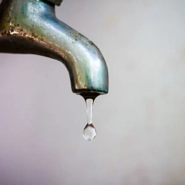 Safety Assurance and Peace of Mind — Hafke Plumbing, St. Petersburg FL