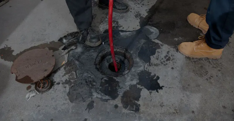 The Consequences of Ignoring a Broken Sewer Line and How Camera Locates Can Save You Money — Hafke Plumbing, St. Petersburg FL