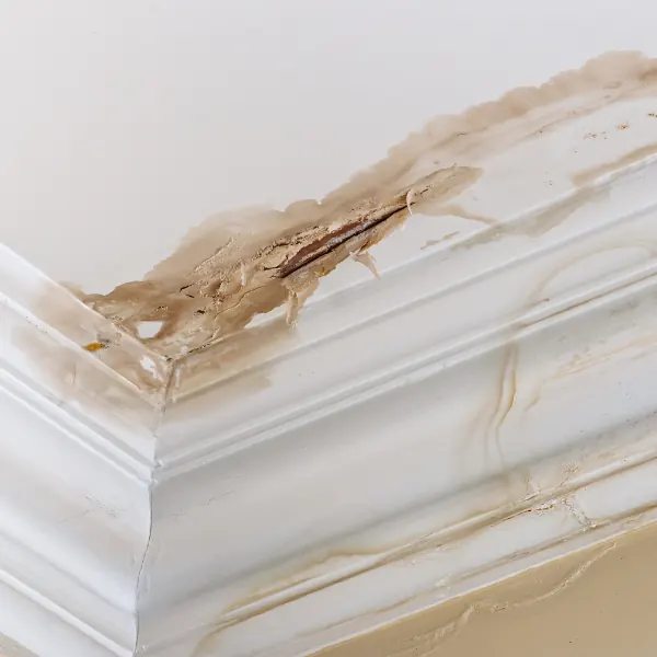 The Negative Impact of Old or Corroded Water Mains on Your Property — Hafke Plumbing, St. Petersburg FL