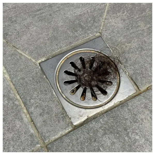 Tips for Maintaining Your Home's Sewage System — Hafke Plumbing, St. Petersburg FL