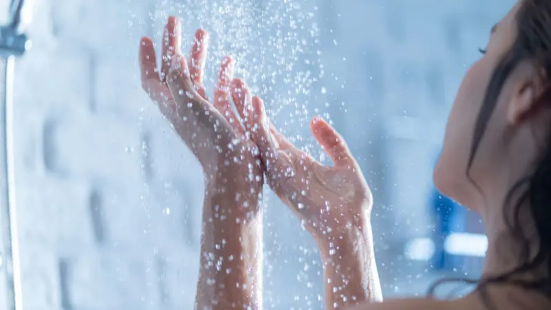 Tips from Our Expert Plumbers — Hafke Plumbing, St. Petersburg FL