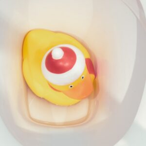 Rubber duck in toilet bowl