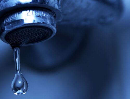 The Dangers of Ignoring a Leaky Faucet in Your Home