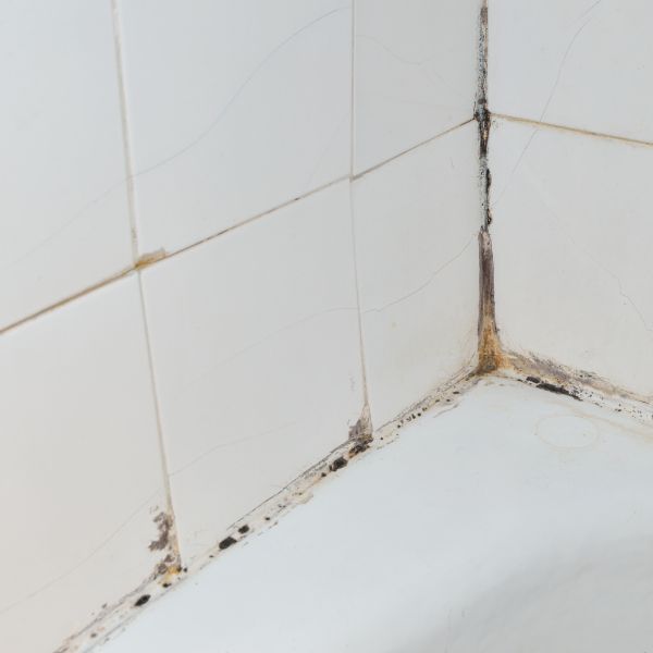 mold and mildew in shower